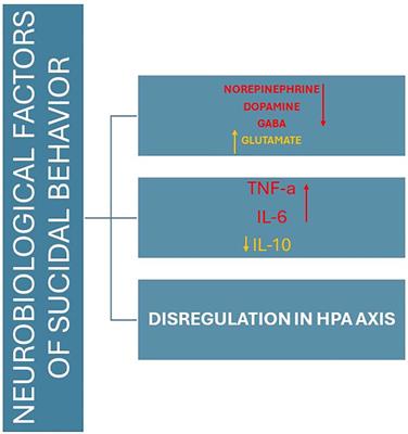 Neurobiology and medico-legal aspects of suicides among older adults: a narrative review